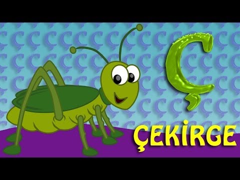 &Ccedil; Harfi - ABC Alfabe SEVİMLİ DOSTLAR Eğitici &Ccedil;izgi Film &Ccedil;ocuk Şarkıları Videoları