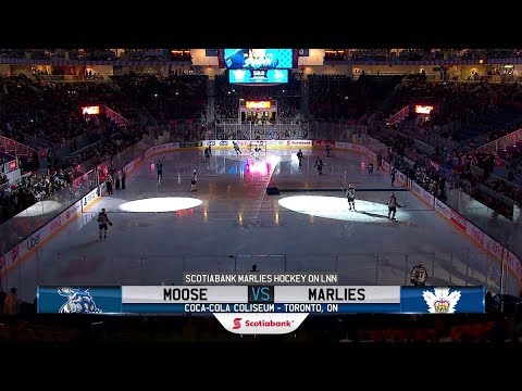 Moose vs. Marlies | Feb. 27, 2019