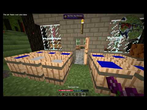 TerraFirmaCraft Season 2 Episode 7 [HD] [English] - Water Walking Sheep