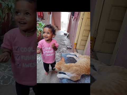 Anvi cute things with a cat #beauty #cutebaby