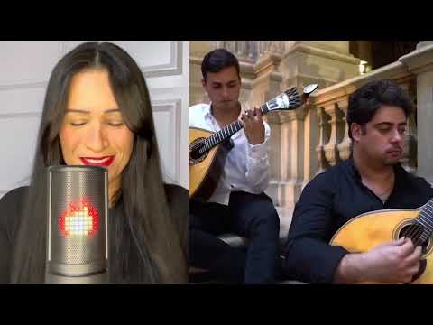 Reaction Guitarras para Amália | Amália 100 Anos | Câmara Municipal | Lisboa