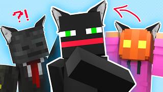 Verity Cast Are CATBOYS