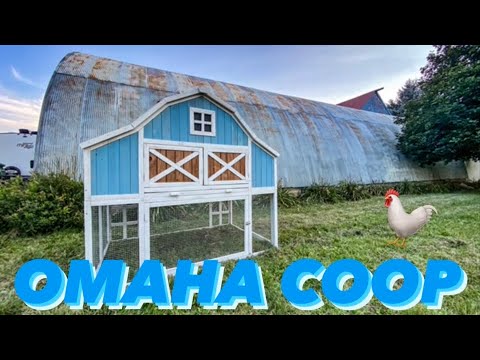Coop Build 2020 - Omaha by Rugged Ranch Review