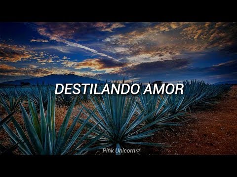 「Por Amarte | Pepe Aguilar | Letra」