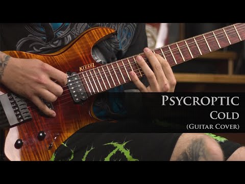 PSYCROPTIC - Cold (Guitar Cover, Kiesel Vader)