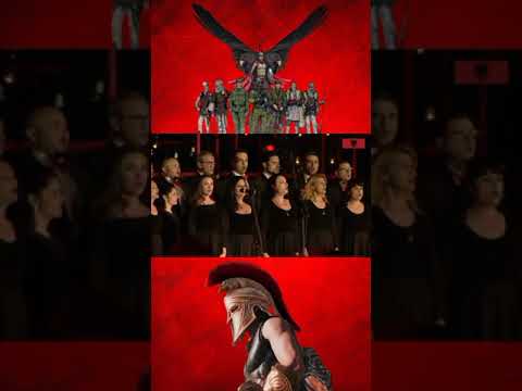 VETEM TE BASHKUAR JEMI ME TE FORTE !!!!