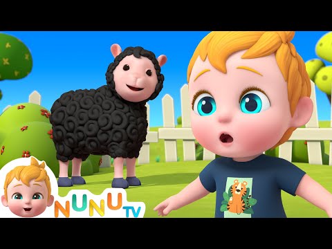 Baa Baa Black Sheep + More Kids Songs | NuNu Tv Nursery Rhymes