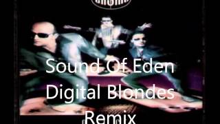 CASINO - SOUND OF EDEN (DIGITAL BLONDES REMIX)
