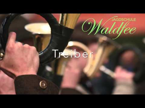 Anblasen des Treibens - 1. Sicherheitsrelevantes Jagdhornsignal