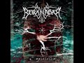 Borknagar - Soul Sphere (Cover de bajo por Daniel Salcedo)