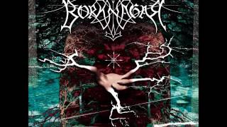 Borknagar - Soul Sphere (Cover de bajo por Daniel Salcedo)