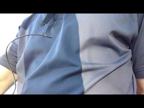 Visible Heartbeat With Audible Bird Songs