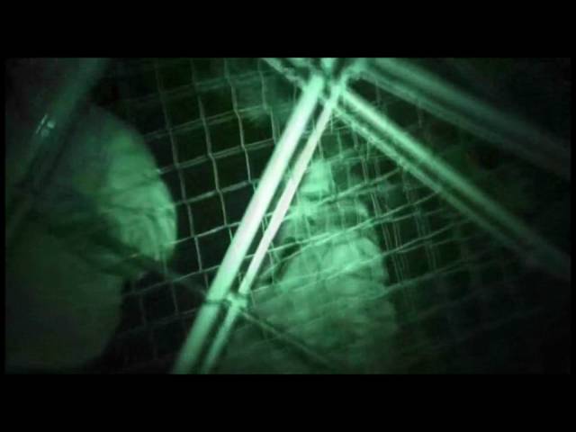 youtube play