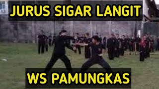Download lagu Pukulan Tenaga Dalam Jurus Sigar Langit WS Pamungkas mp3