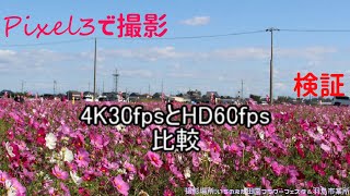 4K30fpsとHD60fpsを比較する動画