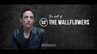 The Best of The Wallflowers