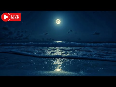 Gentle Ocean Beach  Waves Sounds ASMR  Deep Sleep, Stress Relief, Zen Tranquility And Chilling