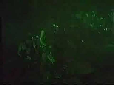 D.T.R——Dirty Winner