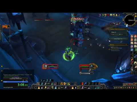 Torghast Speedrun - 5:50 (Resto Druid - Skoldus Hall Layer 8)