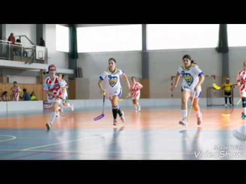 Lvice Zlín sezóna 2016 / 2017