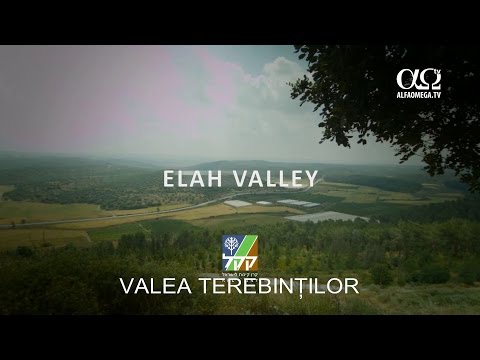 Israel - FNE 7 - Valley of the Terebints, the place where David defeated Goliath