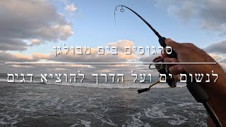 דיג - סרגוסים בים מבולגן | לנשום ים ועל הדרך לתפוס דגים 2025.