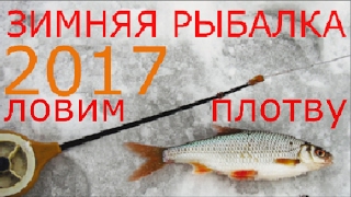 Ловля плотвы на кивок зимой
