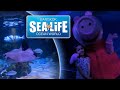 SEA LIFE Bangkok Ocean World Peppa Pig S Aquarium Adventure