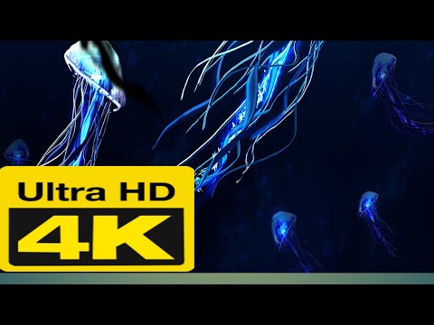 Ultra HD 4K video (nature & music)