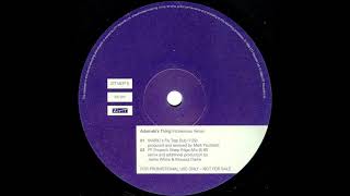 Adamski's Thing - Intravenous Venus (MARK!'s Fly Trap Dub) (1998)