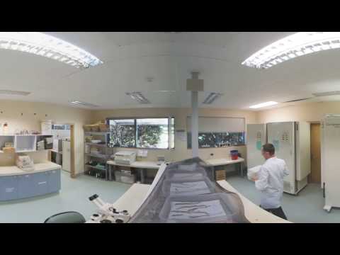 360 Video inside the laboratory 1