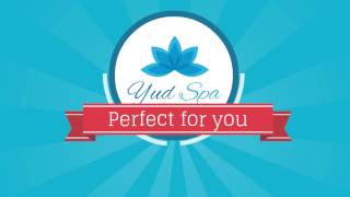 YudSpa hand held shower heads chrome plated with a hose and wall bracket