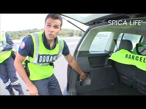 Trafic de stups : course à grande vitesse sur l'A9