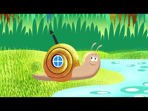 🐌 "Melc Melc Codobelc" - cantec cu melc Paradisul Vesel TV