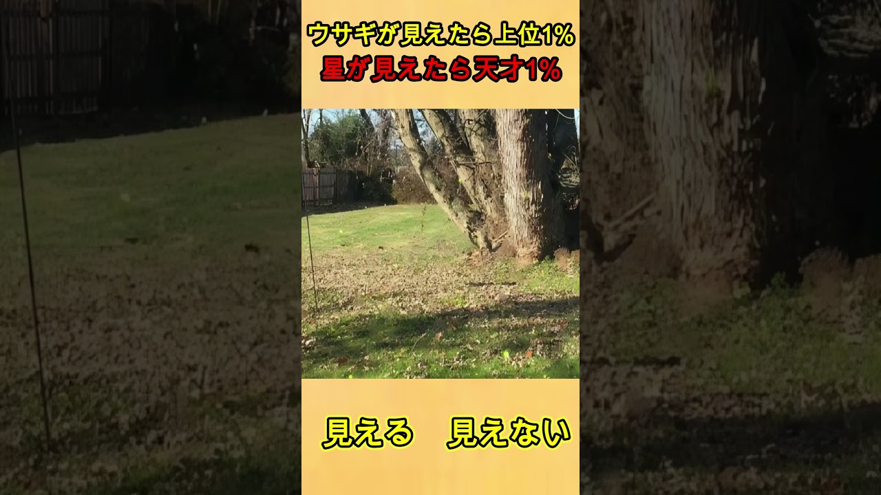 ウサギや星が見えるなら、あなたの目は上位1%に入ります。#視力検査 #錯視