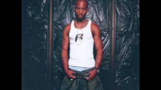 dmx for my dogs