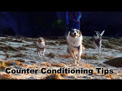 STOP UNWANTED behaviors with BACK UP