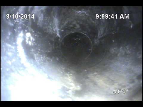 Barbara Cesspool 09112014