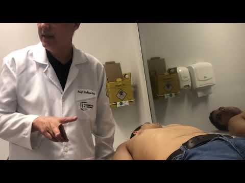 Physical examination of the abdomen - percussion and superficial palpation