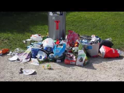 6 Types of Pollution - Classical Conversations, Cycle 2, Week 6