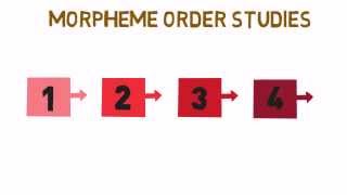 Morpheme Order Studies