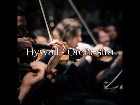 Hywall - Orchestra (Beethoven) [VIP]