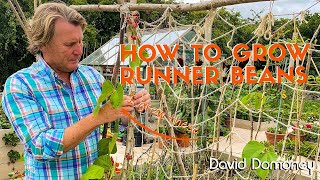 How to build support frames for climbing vegetables