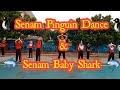 Senam Pinguin Dance Senam Baby Shark