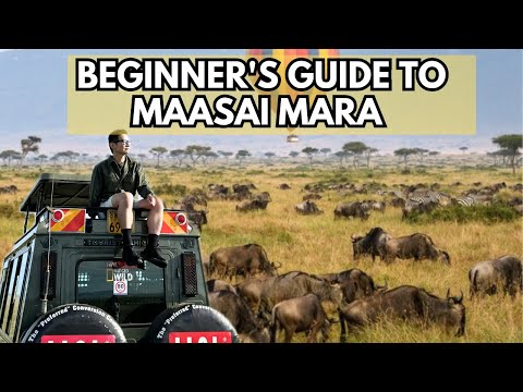 Maasai Mara Kenya Safari Guide - FIRST TIMERS Survival Manual (2026)