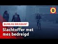 Schreeuwende fietser overvalt echtpaar | Bureau Brabant