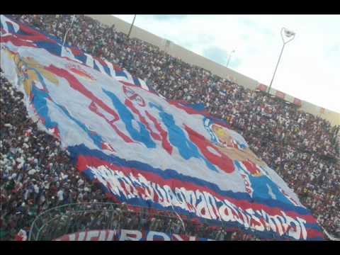 as 20 maiores torcidas organizadas do brasil !!!