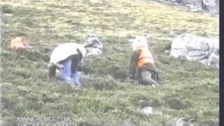 The Beta Band Inner meet me