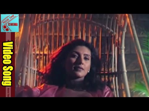 Alluduagaru Vacharu Movie || Marugela Mabbu Musugela Video Song || Heera