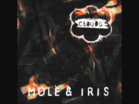 MOLE & IRIS - L.O.S.T